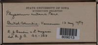 Image Associated With the Occurence